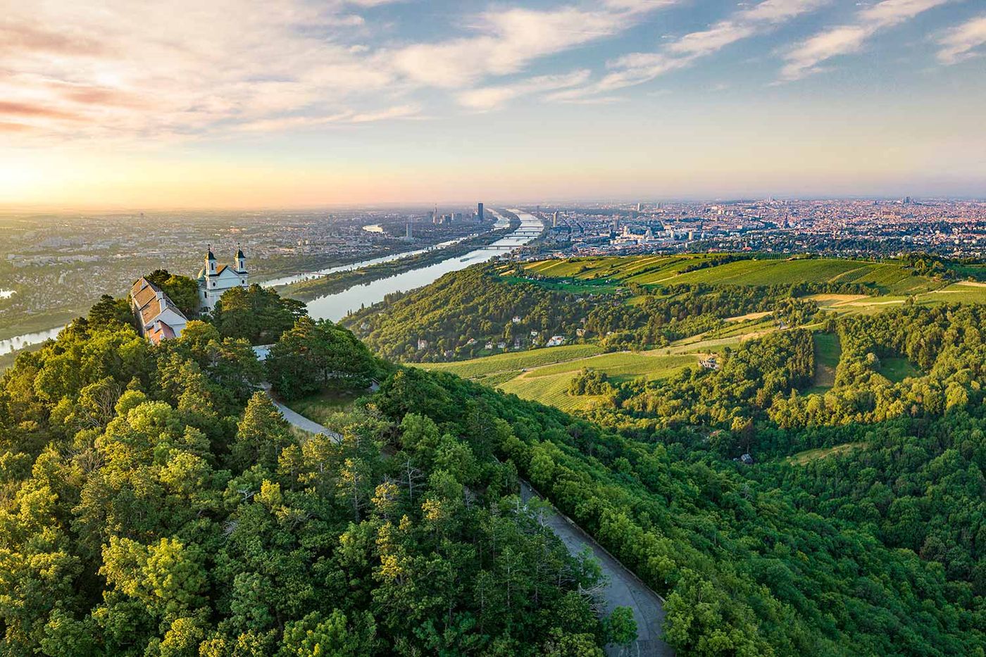mayer-am-pfarrplatz-winzer-wien-2025-gault-millau